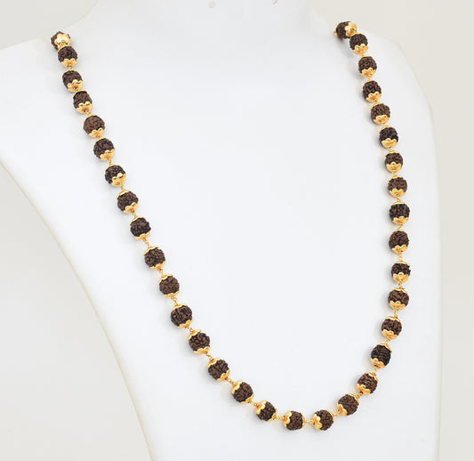 Big Rudraksham Chain 24 Inches - X021079